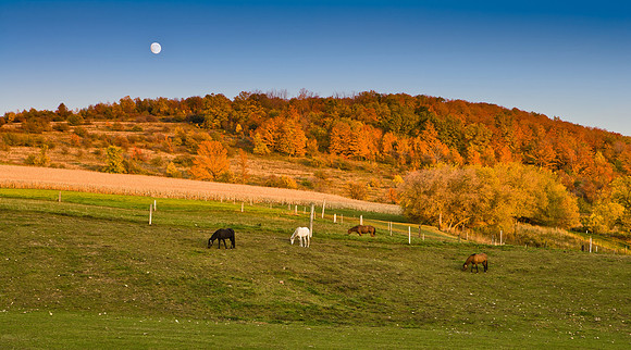 Farmer's Hill, 10/12/2008