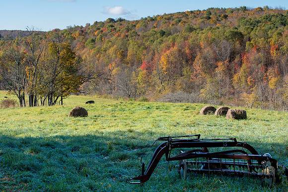 Eaton Brook Morning 09