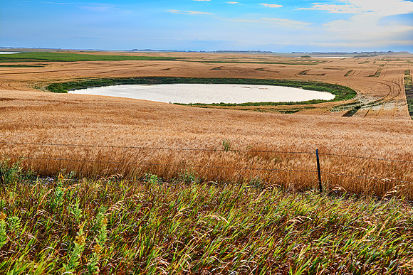 Prairie Pond, North Dakota