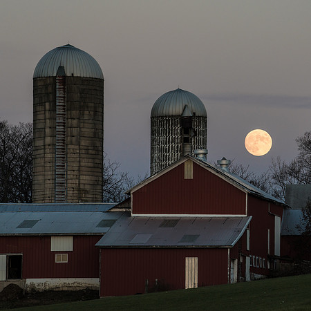 November Moon 01