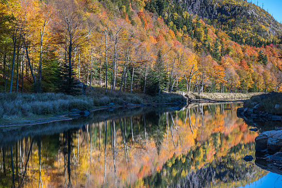 Pond Near Wilmington, 10/14/2016