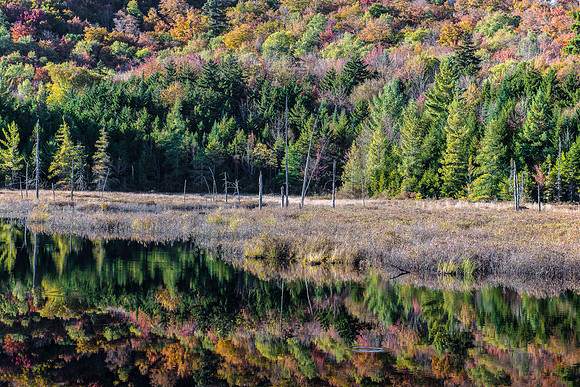 Moose River Recreation Area