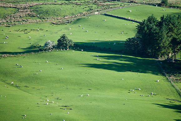 Wales, South of Cerrigydrudion