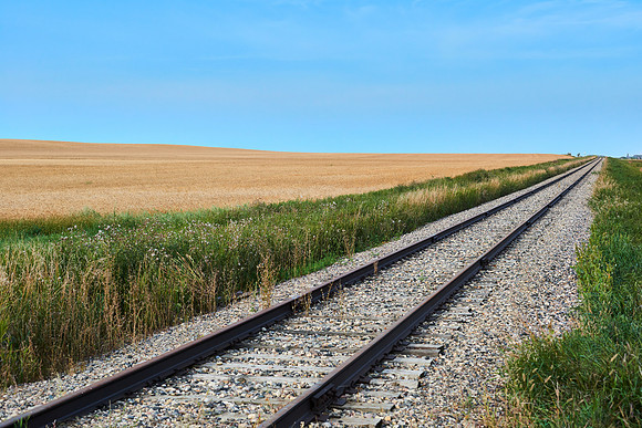 Manitoba Prairie