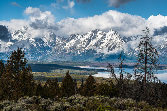 Grand Teton National Park, May