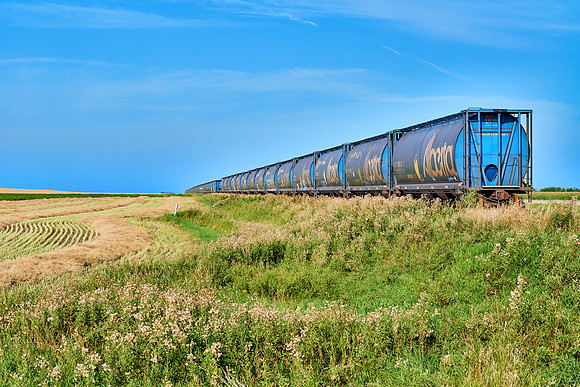 Manitoba Prairie