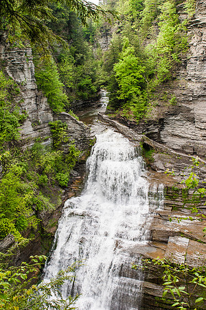 Robert Treman State Park