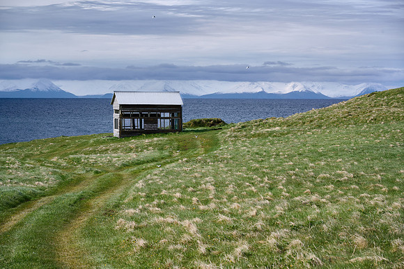 Grimsey Landscape, near the Lighthouse, June 2025
