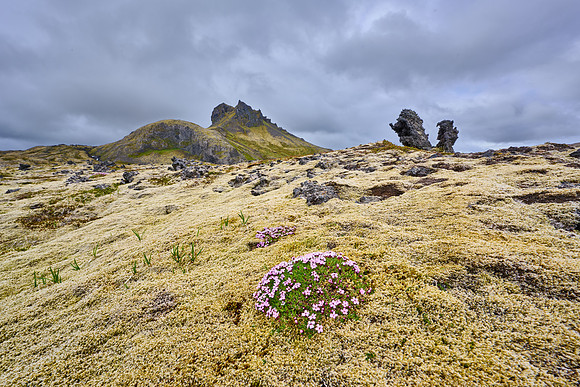 Snæfellsjökull National Park, June 2025