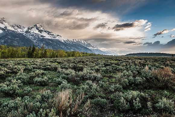 Grand Teton National Park, May
