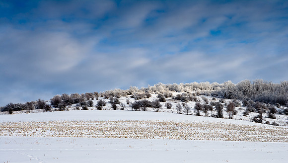 Farmer's Hill, 12/13/2008