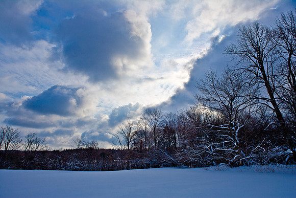 Winter Mimicry
