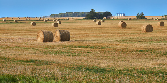Manitoba Prairie
